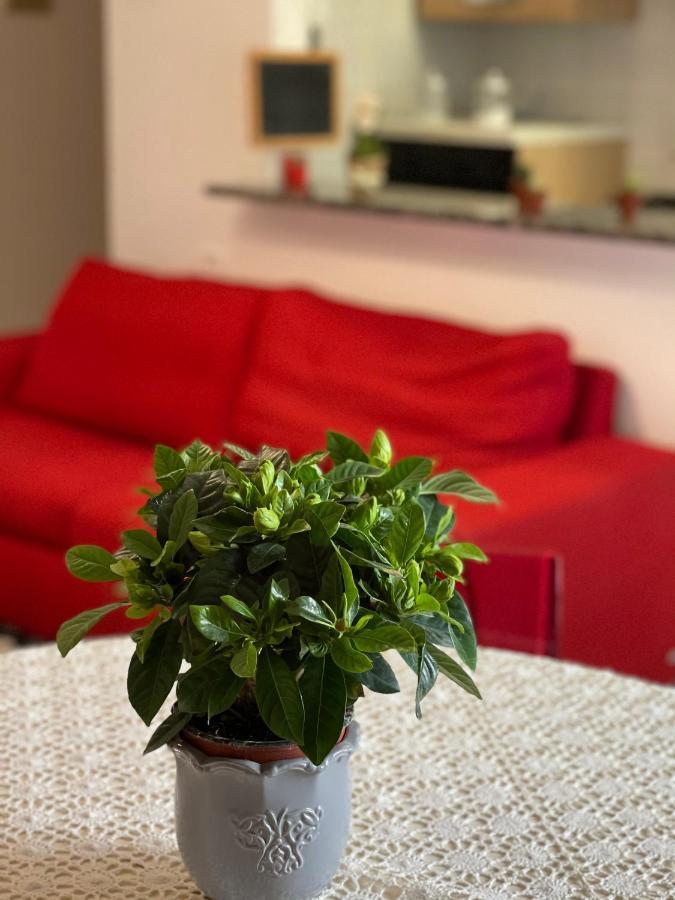 La Casetta Di Sasa Intero Appartamento Pescara Ngoại thất bức ảnh
